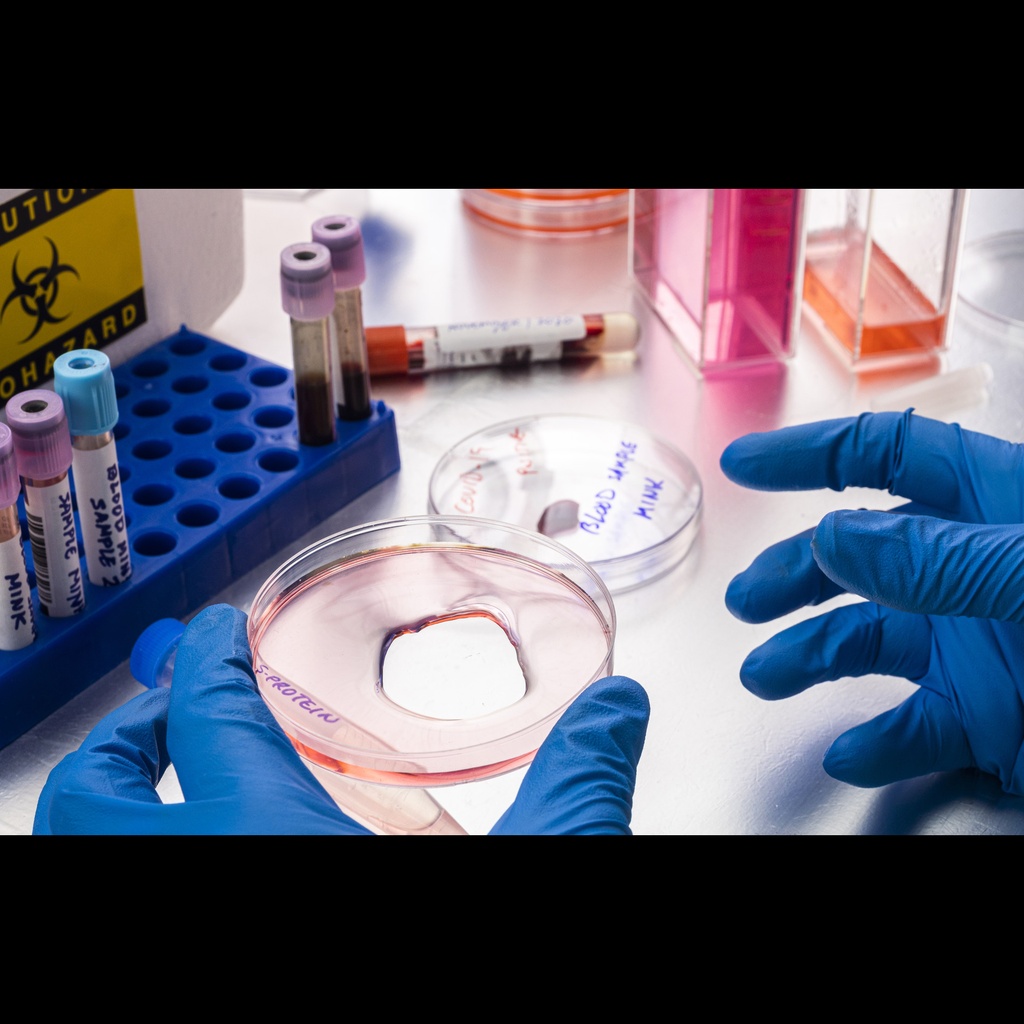 12.5% 14 well e PAGEL 10/pk, separation Range'' Protein ''Da''/DNA ''bp'':10,000 250,000/70 1,800